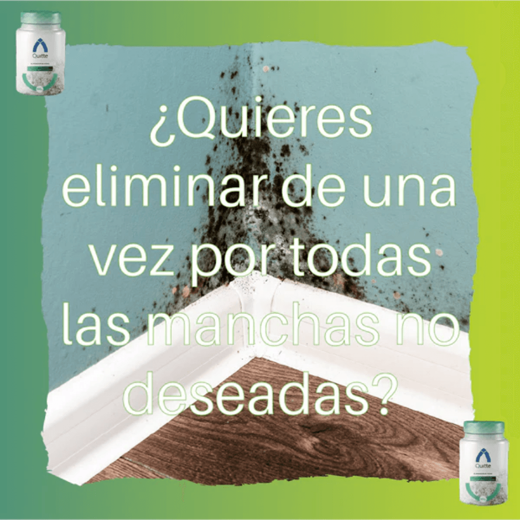 gid://shopify/MediaImage/25388449005686